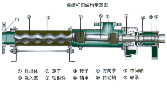 單螺桿泵結構示意圖