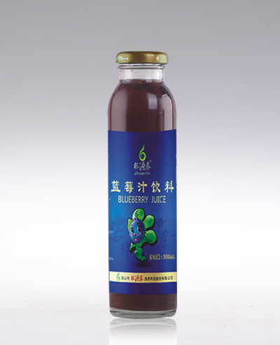 林源春藍莓汁飲料（藍色平頂禮盒）