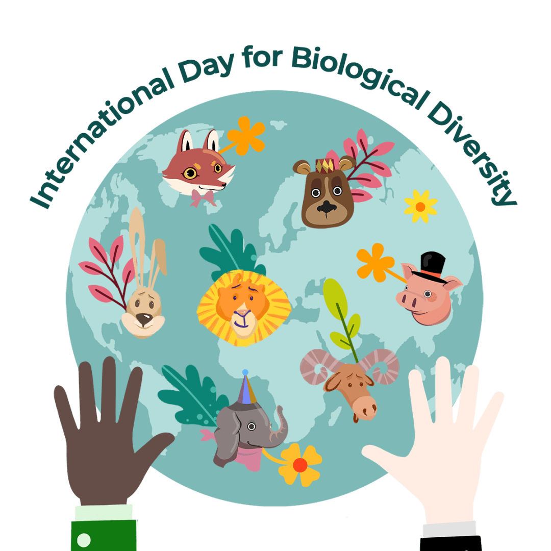 5.22國際生物多樣性日 | 從協議到協力：復元生物多樣性！
