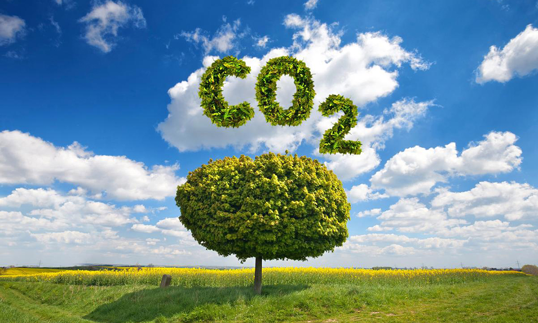 國家三部委聯合發布《關于加快建立統一規范的碳排放統計核算體系實施方案》