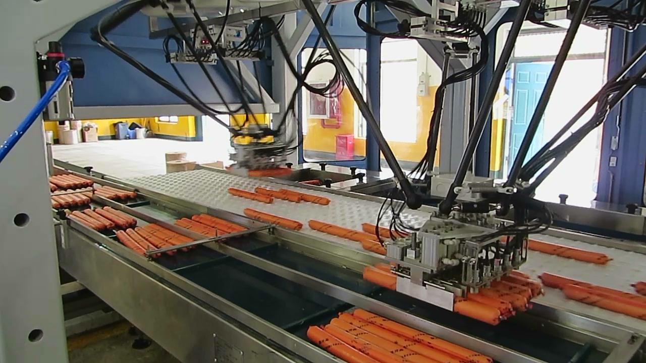 MGEPL-R机器人工业炸药智能化自动包装线