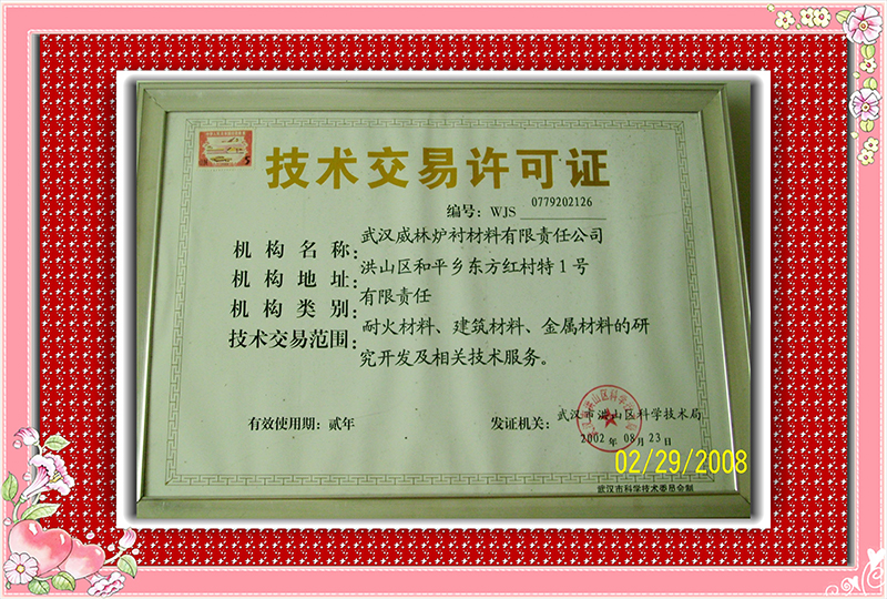 技术交易许可证2002