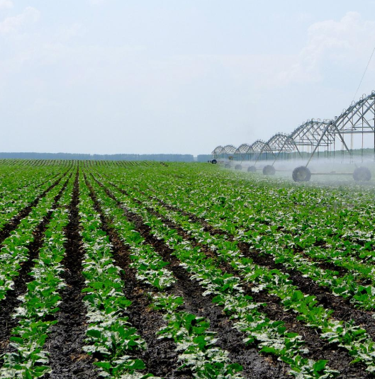 奉化市農業生產資料有限公司是經營化肥、農藥、農膜的專業公司