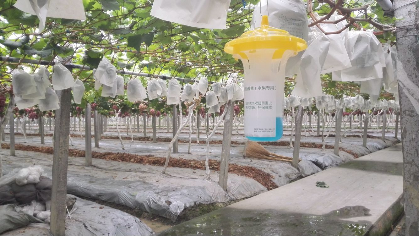 水肥一体自动化与智能化灌溉系统