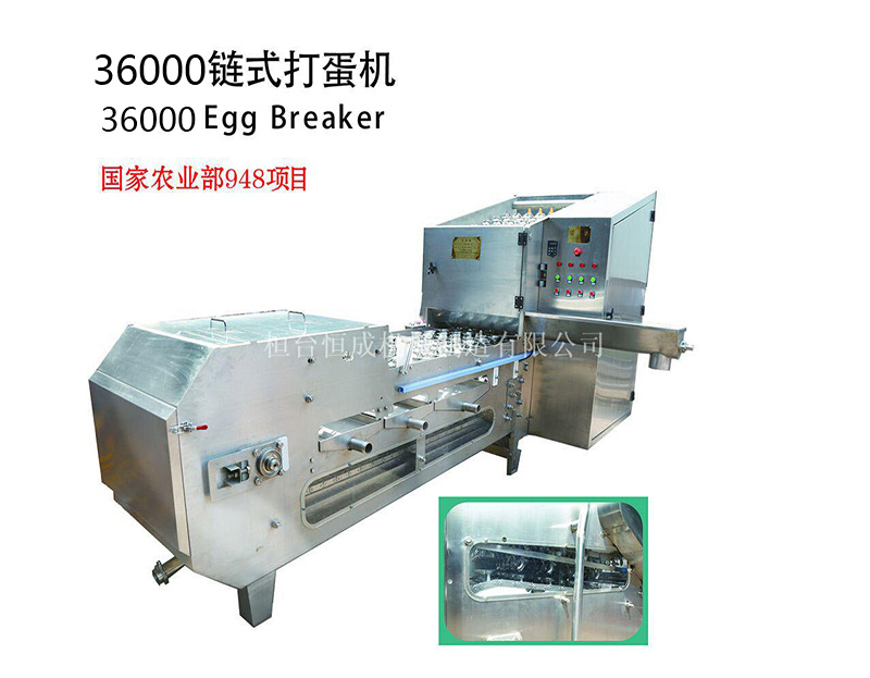 HC-36000鏈式打蛋機