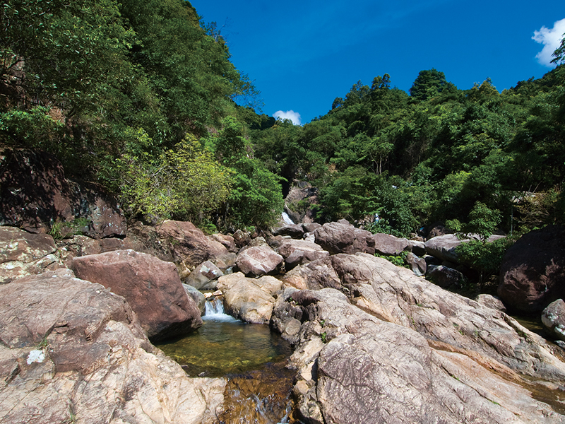 滇西北至廣東特高壓直流輸電工程對廣東九洞森林公園生態影響評價