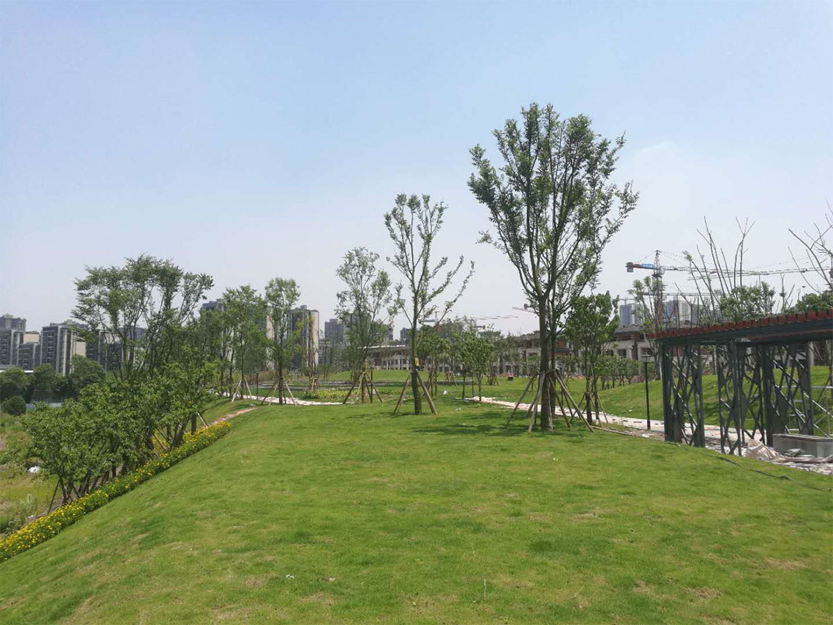 高科江瀾公園