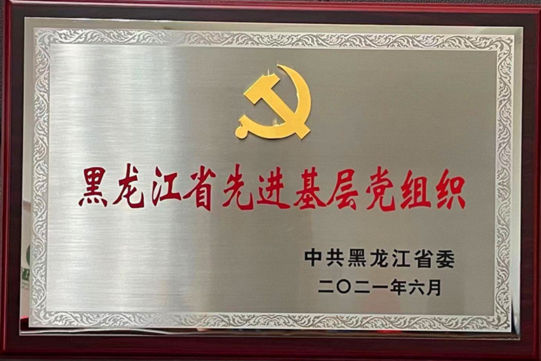 集團黨委榮獲“黑龍江省先進基層黨組織”榮譽稱號