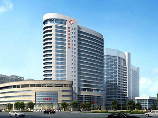 武汉第三医院
